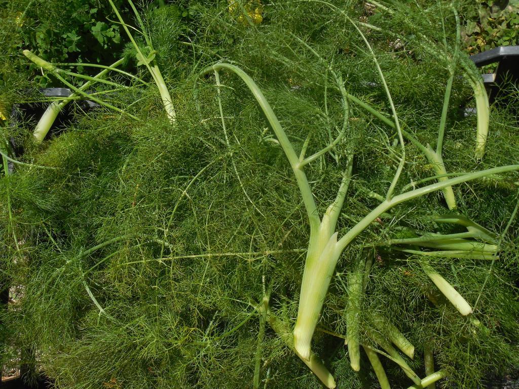Penzion La Manna Di Zabbra Pollina Exteriér fotografie